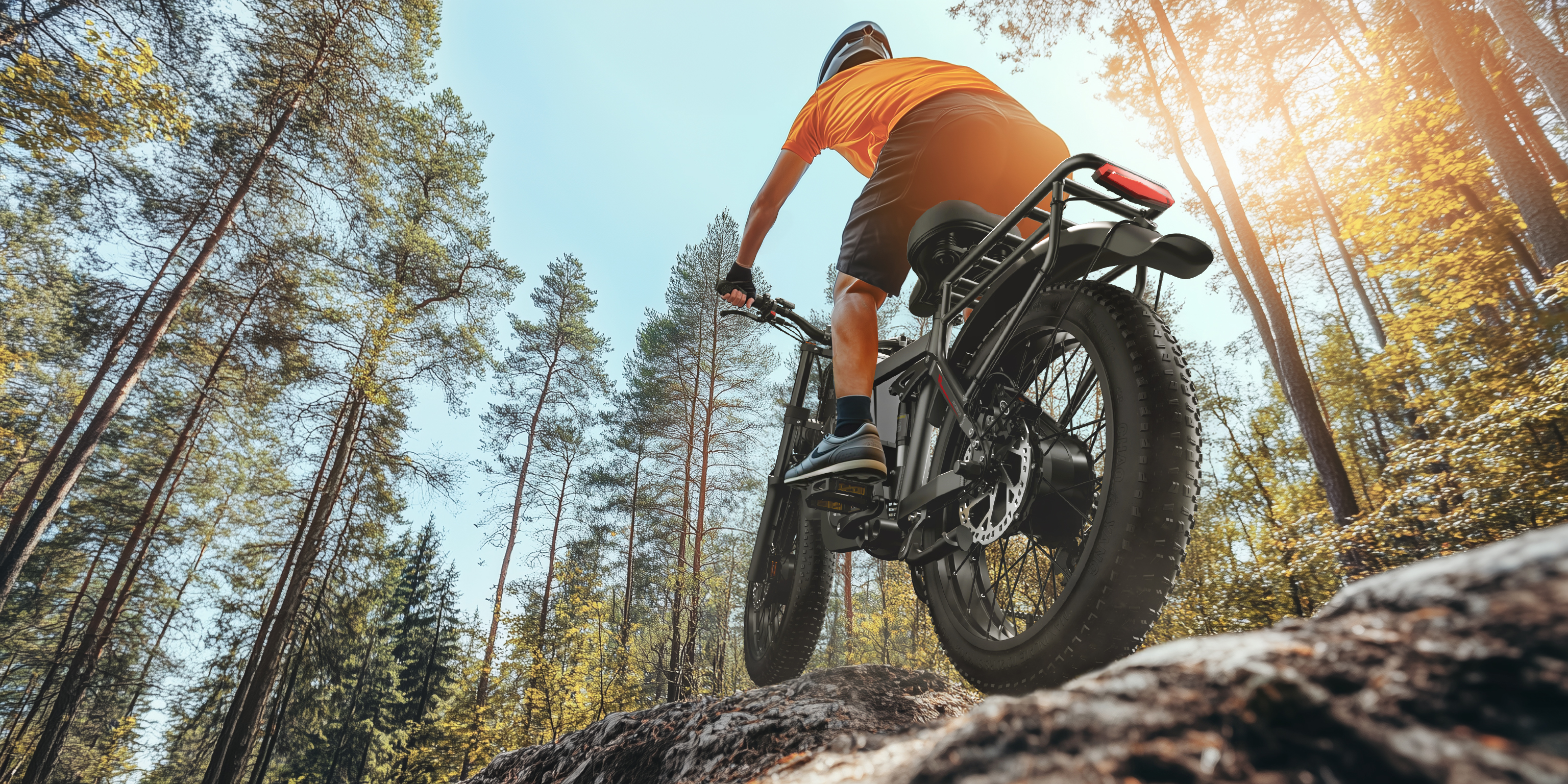 Fahrradfahrer fährt bergauf durch einen Wald mit Bäumen und blauem Himmel.