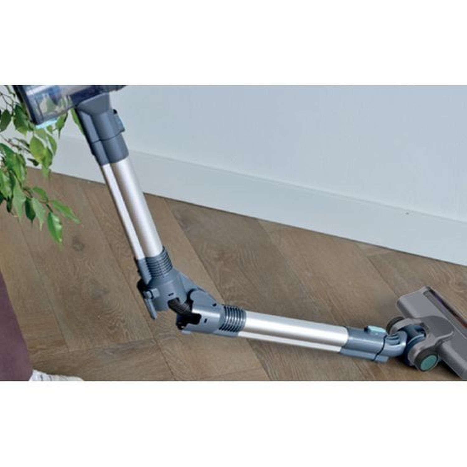 A flexible vacuum cleaner wand on a wooden floor, next to a plant.