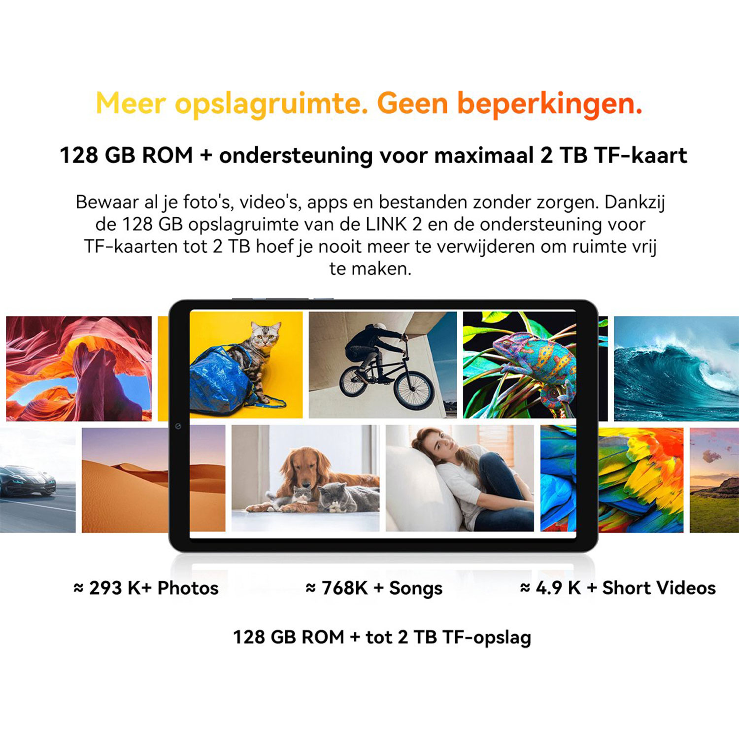 Tablet toont beelden: canyons, kat, fietser, kameleon, golf, auto, woestijn, honden, vrouw, veren.