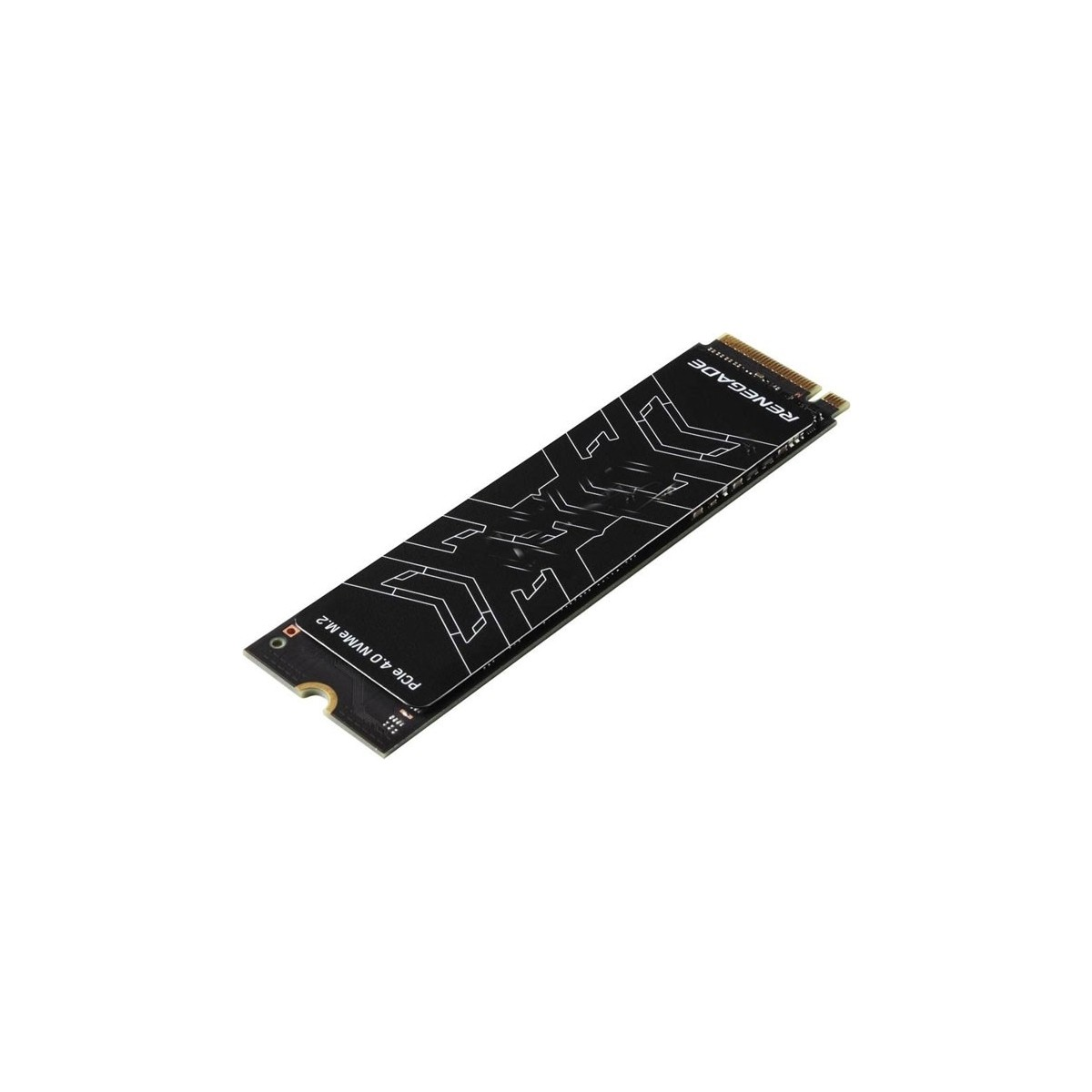 Beyaz devre desenli ve 'RENEGADE' yazılı siyah M.2 NVMe SSD.