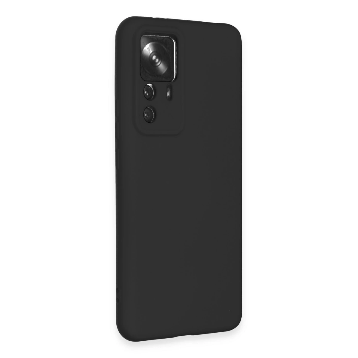 Arkada kamera modülü olan siyah telefon kılıfı.