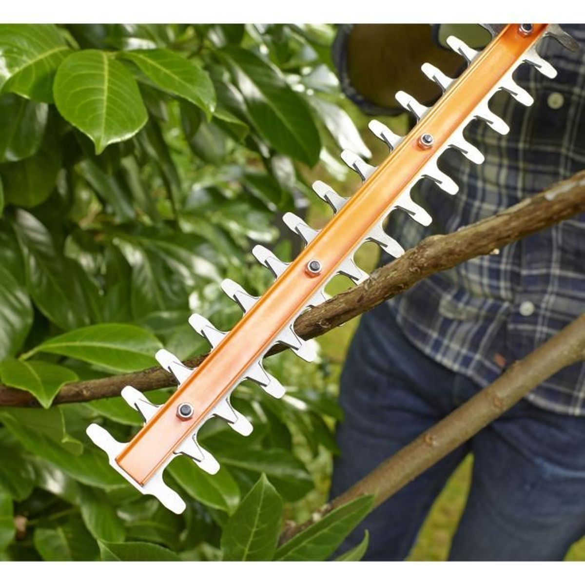 Sekator tnie gałąź.