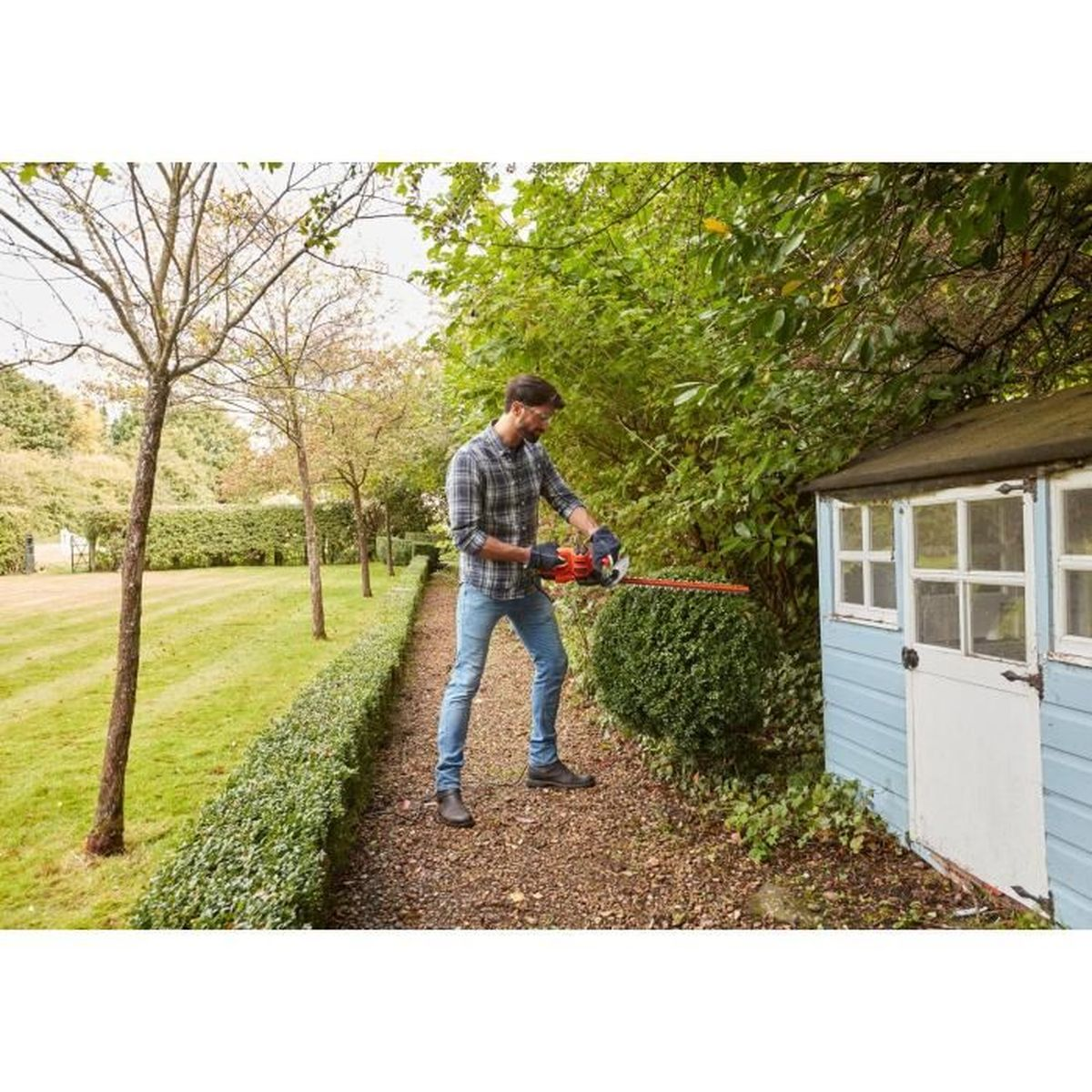 Mężczyzna przycina krzak nożycami do żywopłotu obok niebieskiej szopy.