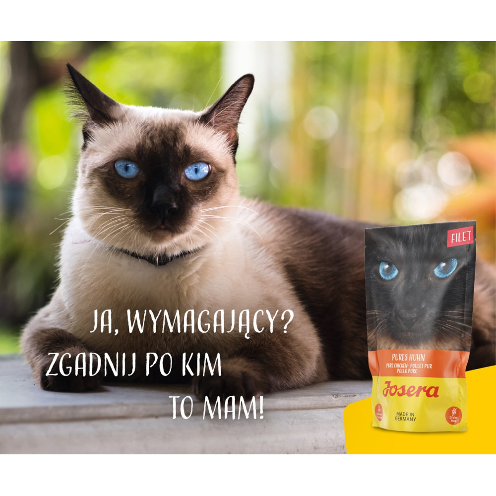 Kot syjamski leży obok saszetki karmy Josera o smaku kurczaka.