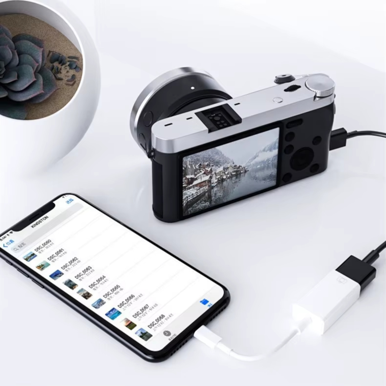 Eine Kamera wird über ein Kabel mit einem Smartphone verbunden. Ein Sukkulententopf steht daneben.
