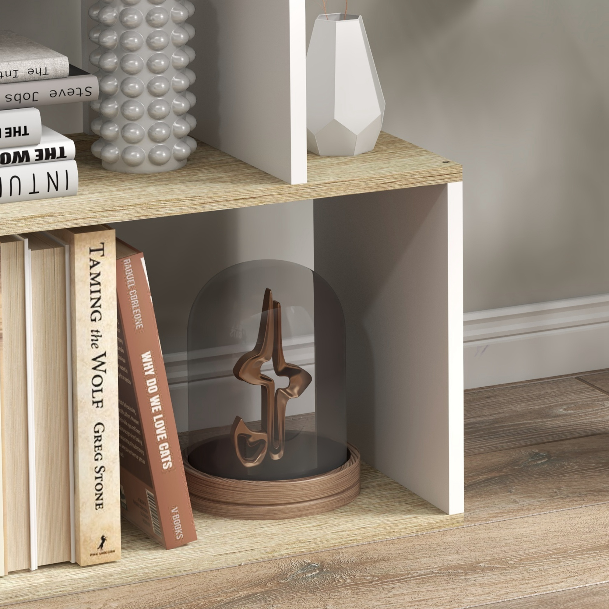 Estantería con libros, jarrón y escultura bajo una cúpula de cristal.