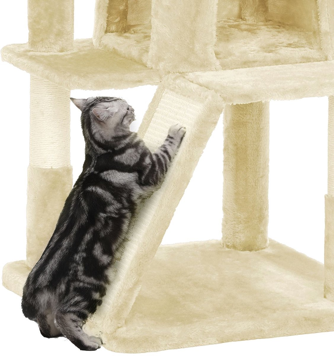 Een cyperse kat klimt op een beige krabpaal.