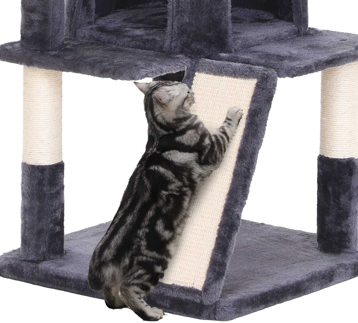 Een grijze kat klimt op een krabpaal.