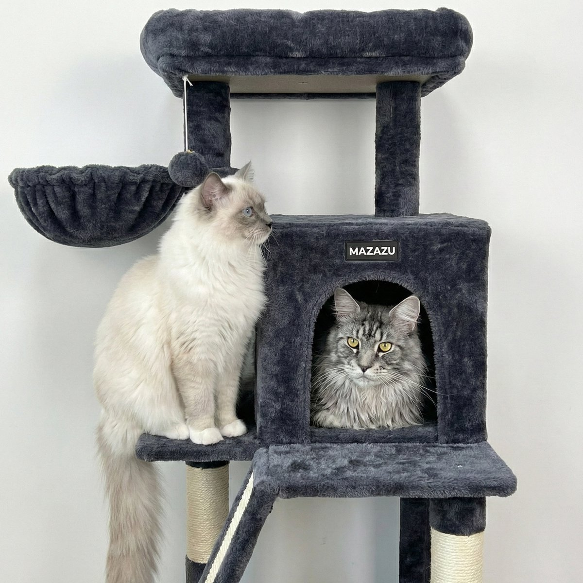 Twee katten op een grijze krabpaal. Een witte kat zit links, een grijze kat kijkt uit een hol.