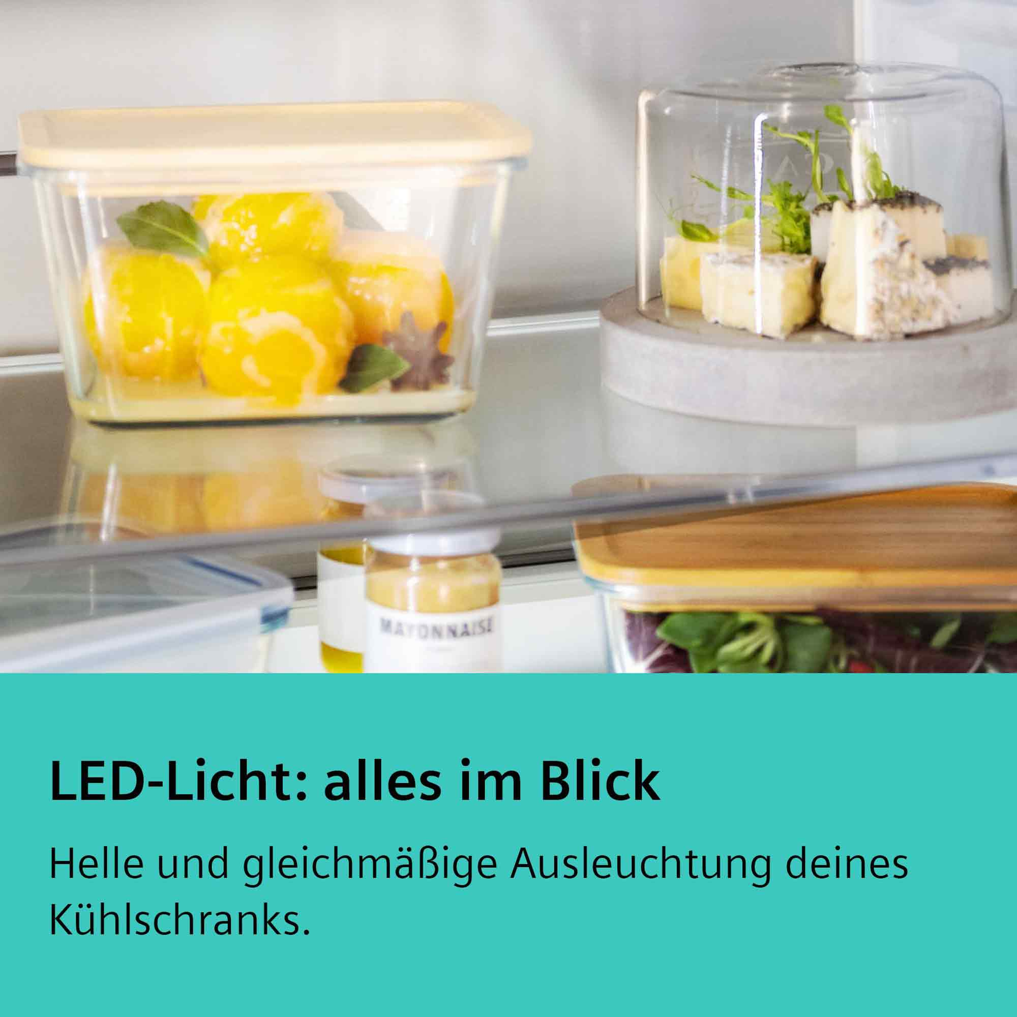 Ein Kühlschrank mit Lebensmitteln: Zitronen, Käse, Salat und Mayonnaise.