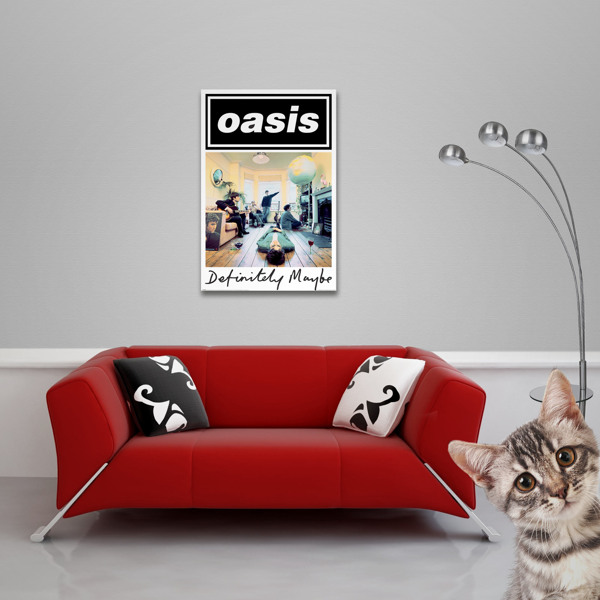 Ein Kater schaut neugierig über ein rotes Sofa, mit einem Oasis-Poster im Hintergrund.