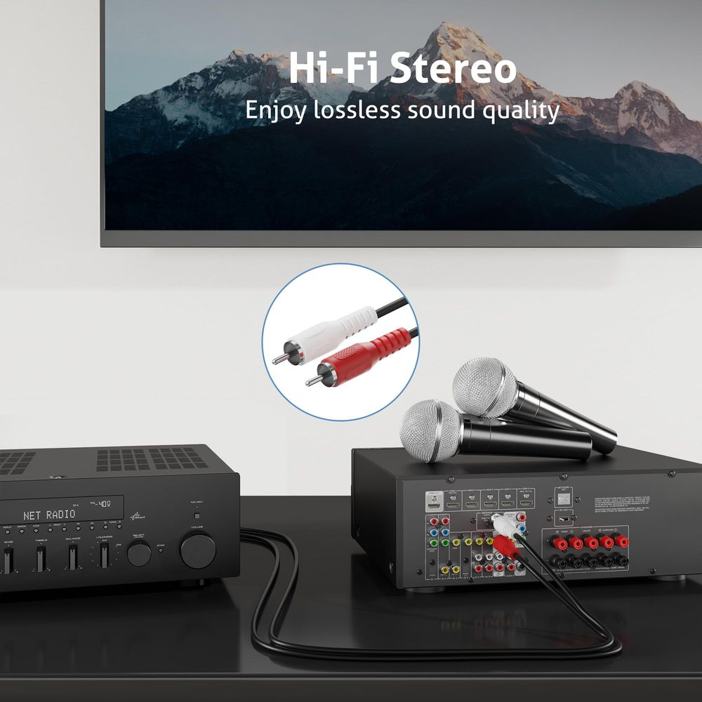 Zwei Mikrofone auf einem schwarzen Receiver mit Kabeln und RCA-Steckern.