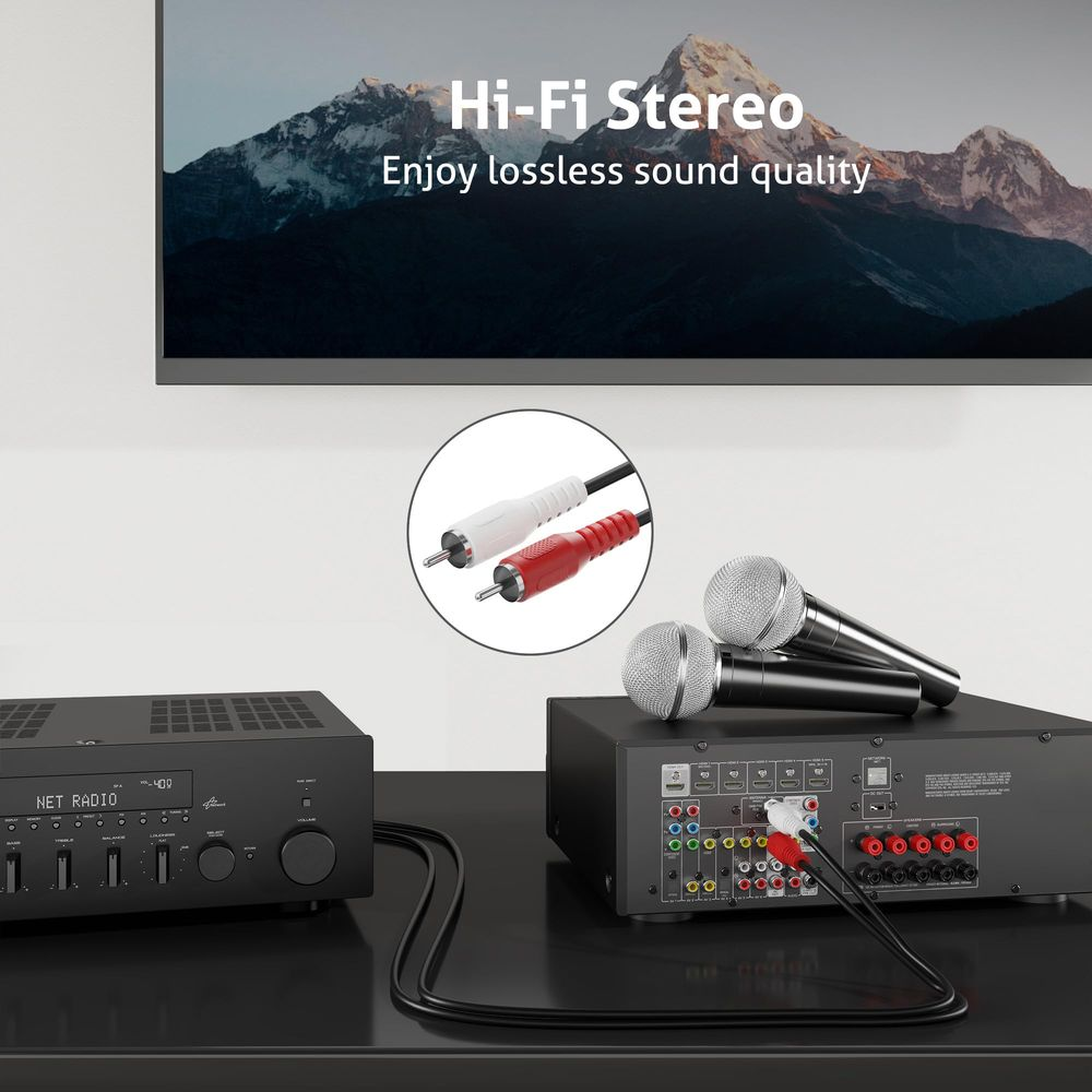 Deux microphones sur un récepteur avec des câbles audio et une radio réseau.