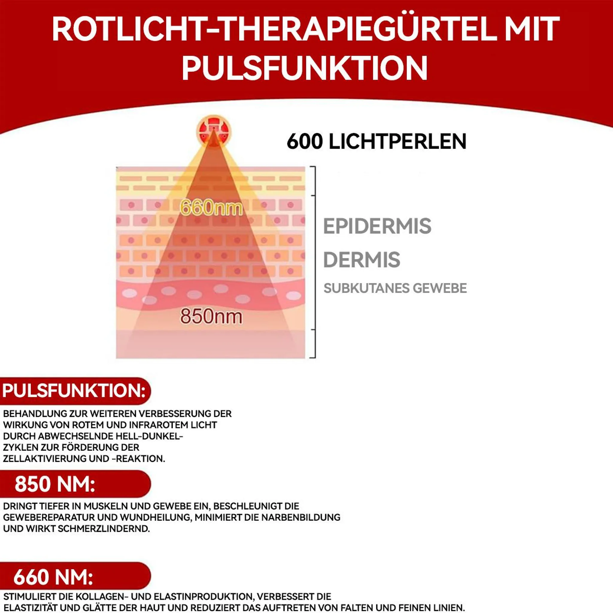 Rotes Licht Therapie Gürtel mit 600 Lichtperlen: 660nm & 850nm erklärt.