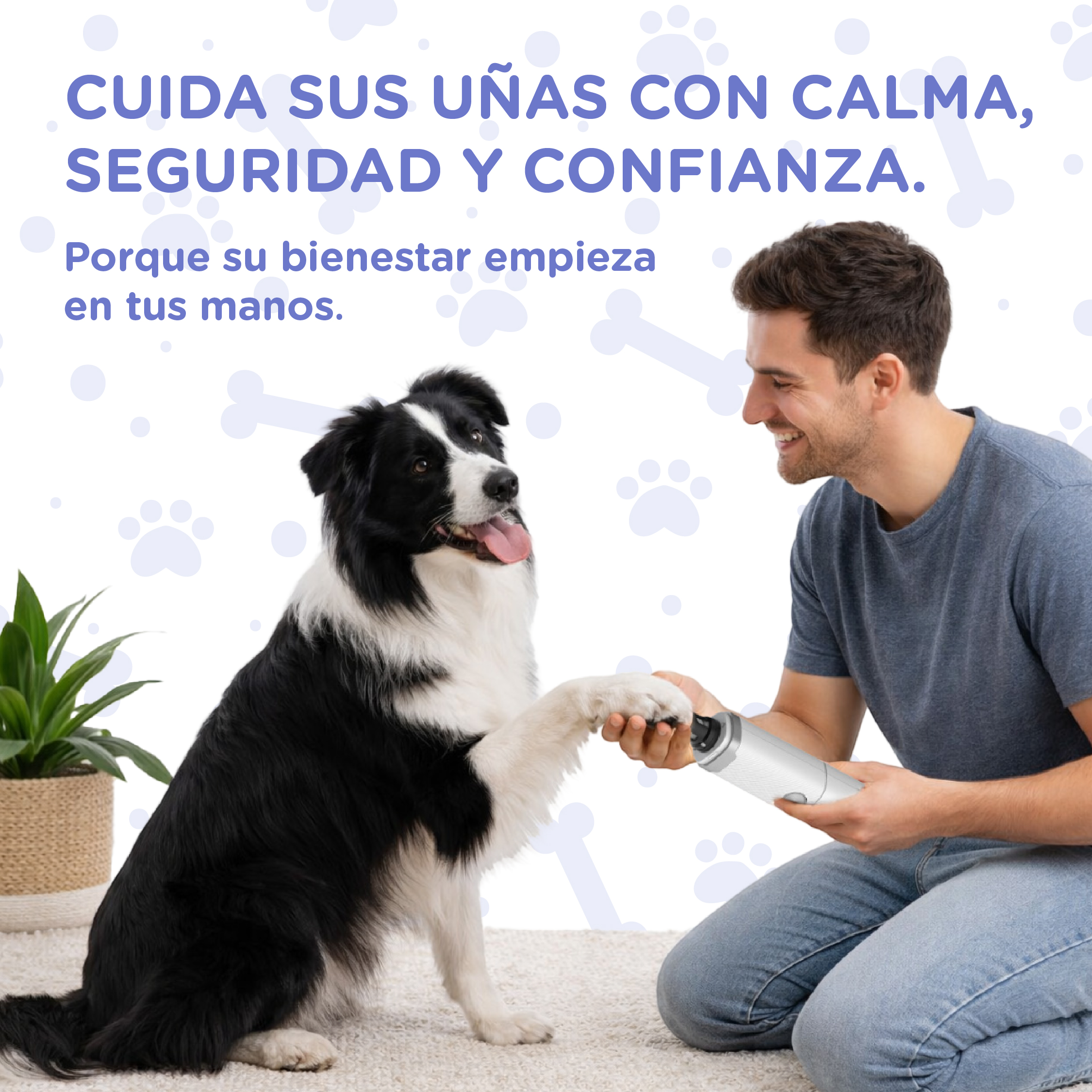 Un hombre recorta las uñas de su perro con una herramienta eléctrica en una alfombra.