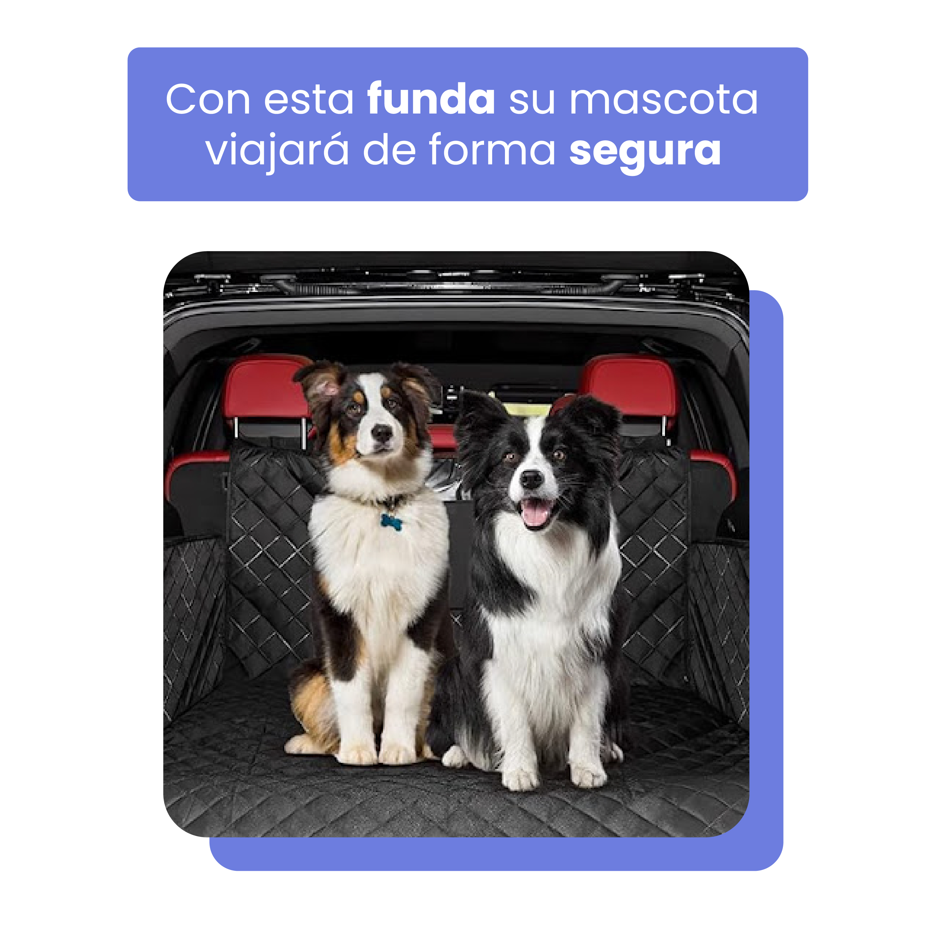 Dos perros sentados en un coche, protegidos por una funda negra.