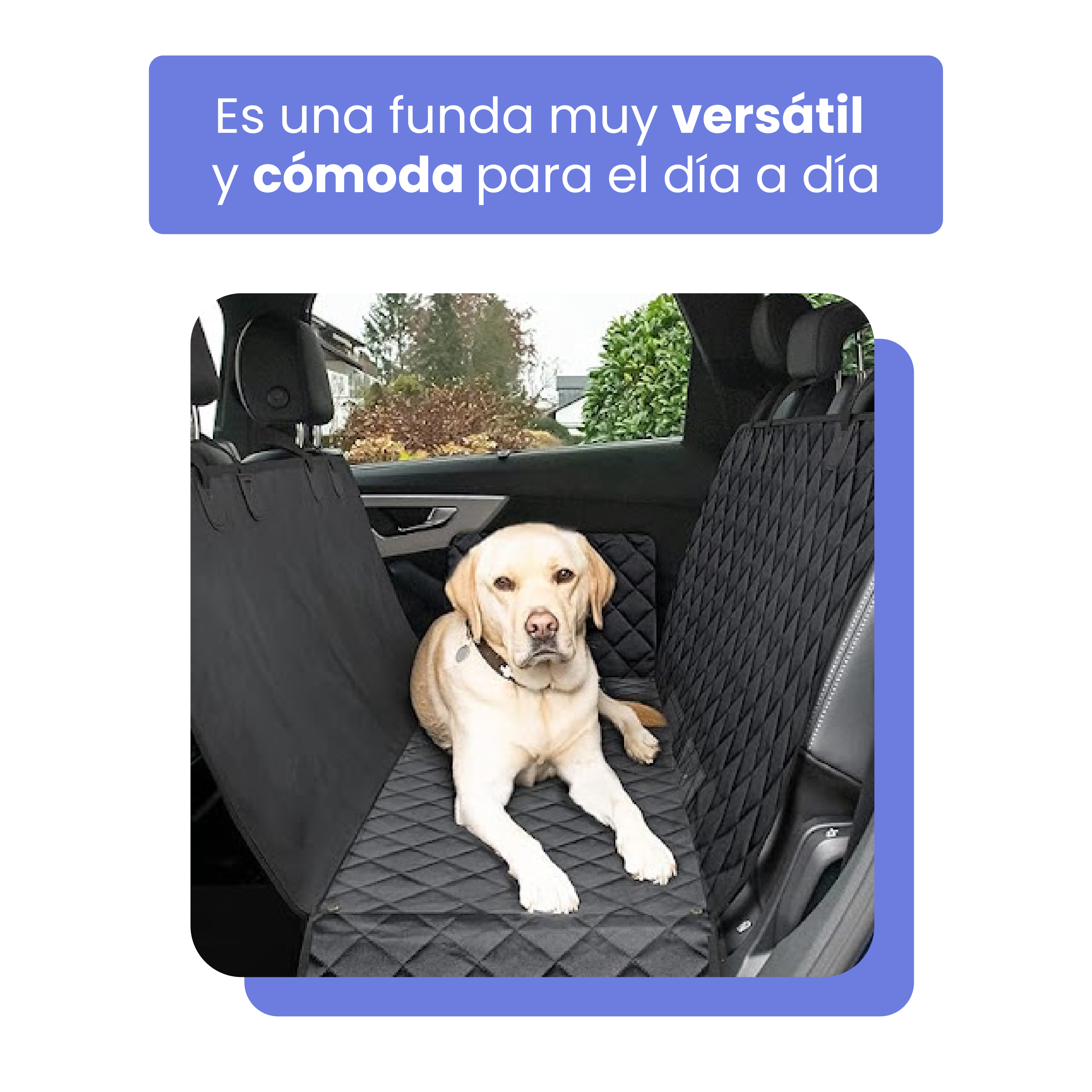 Un Labrador se sienta en una funda negra para asientos de coche.