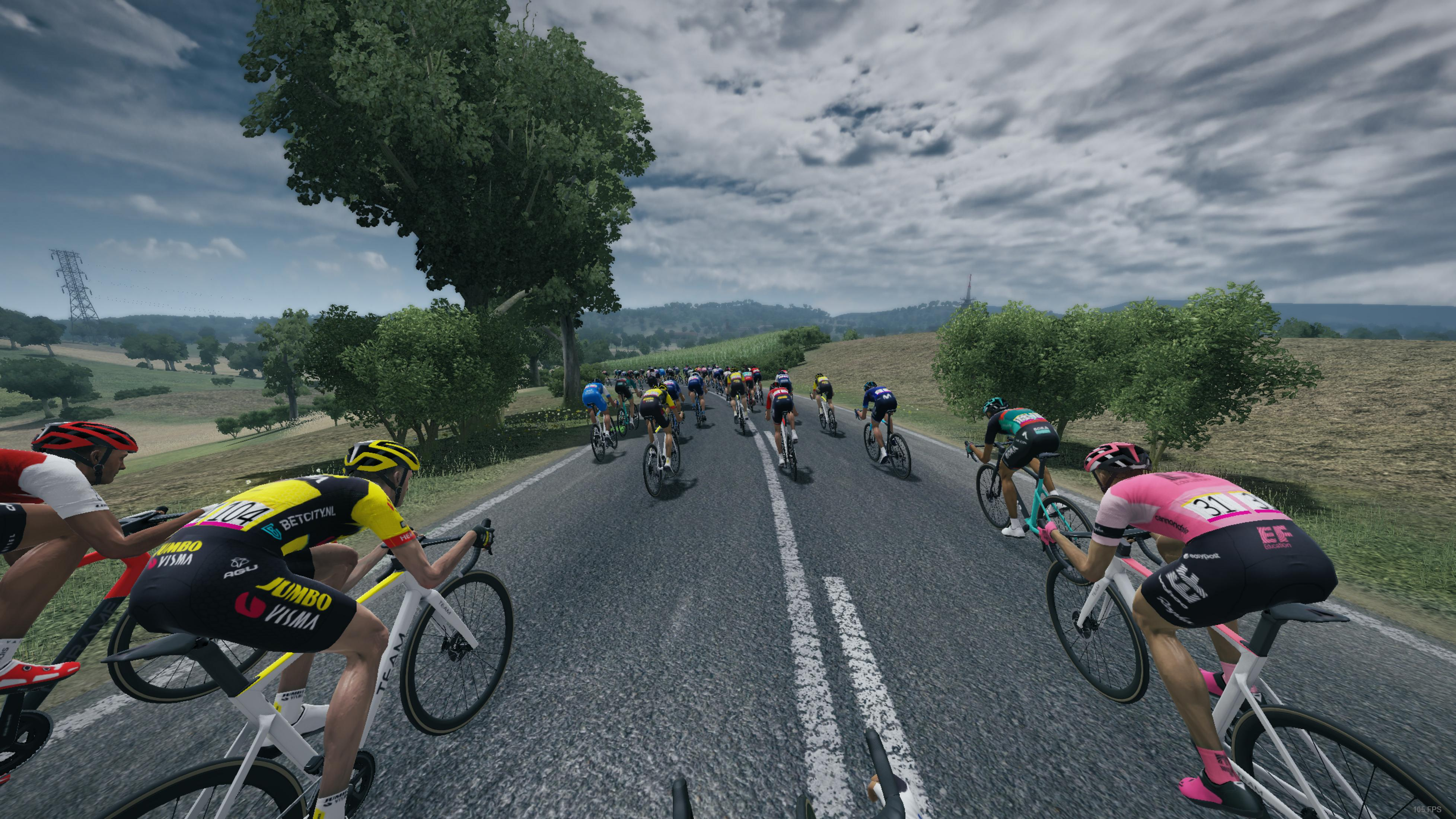 Radsportler fahren auf einer Straße durch eine grüne Landschaft unter einem bewölkten Himmel.