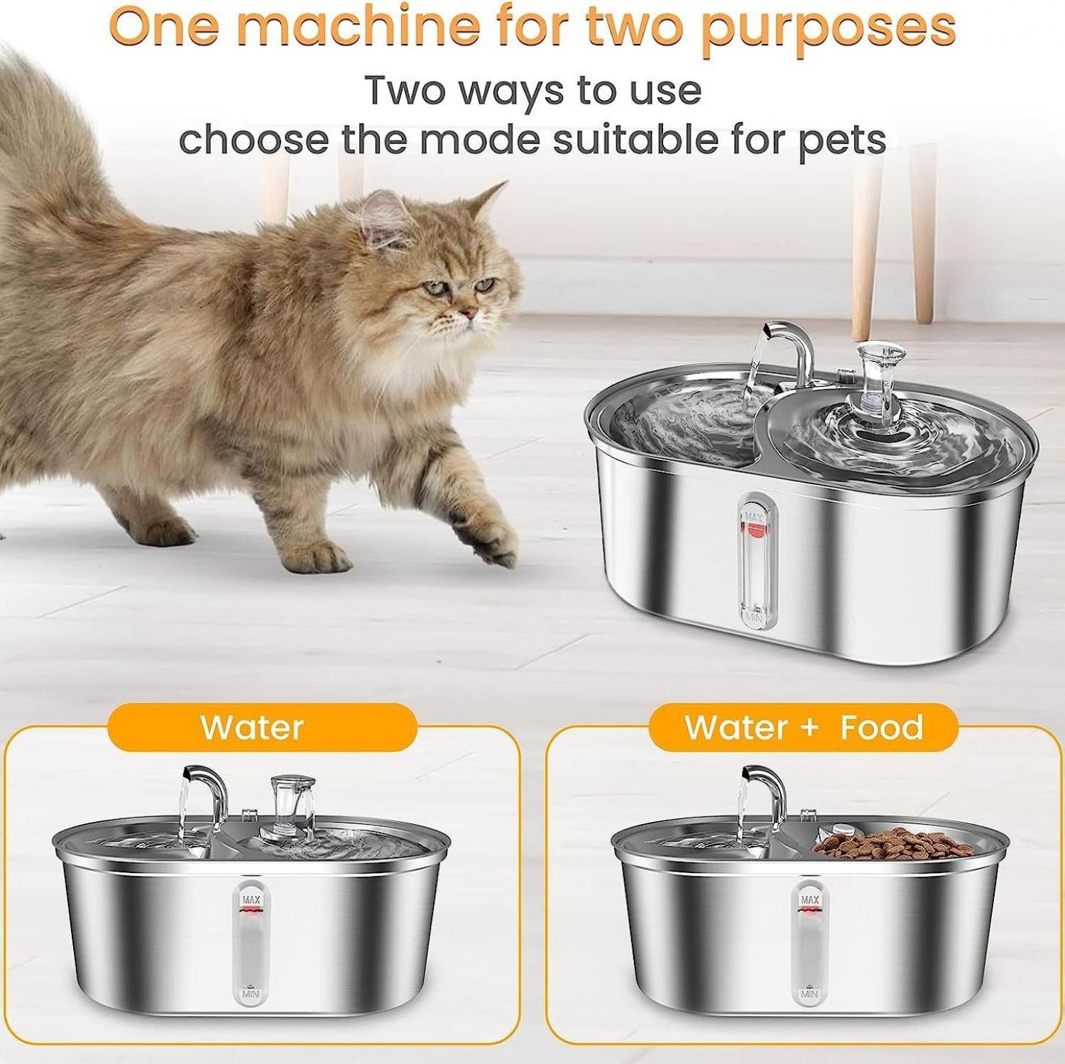 Katze neben einem silbernen Trinkbrunnen mit Wasser und Futter.