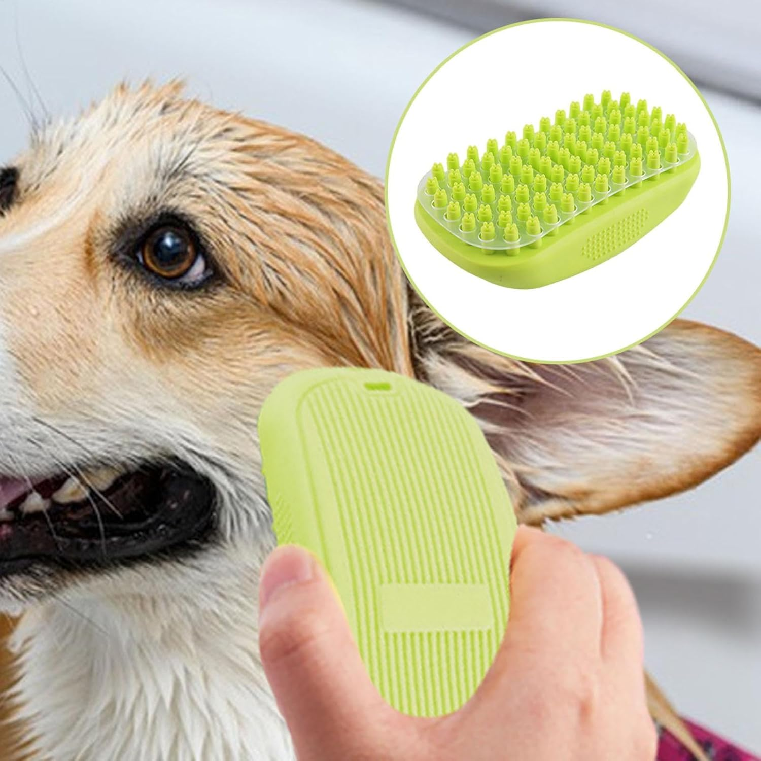 Ein Mensch hält eine grüne Bürste neben einem nassen Hund.