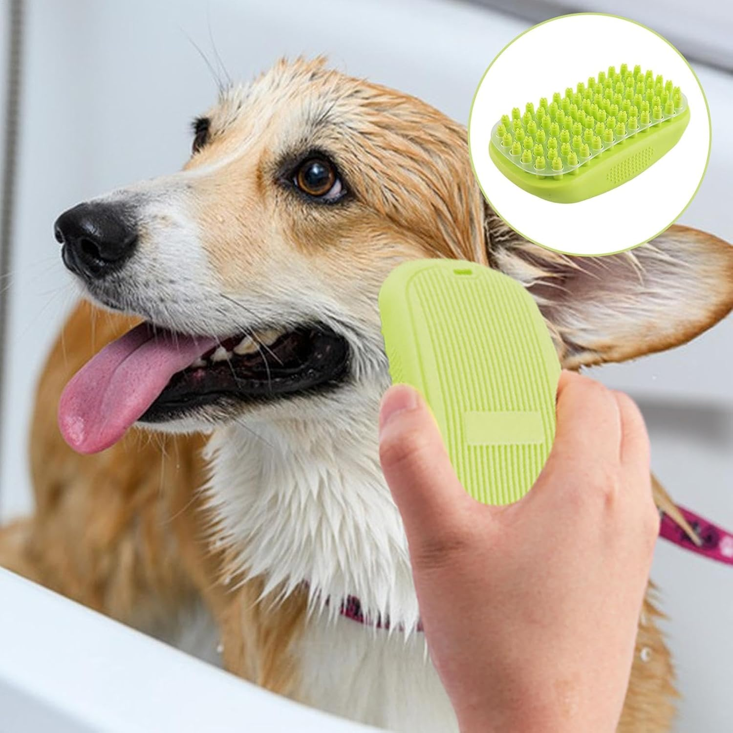 Ein Hund wird mit einer grünen Bürste gebadet.
