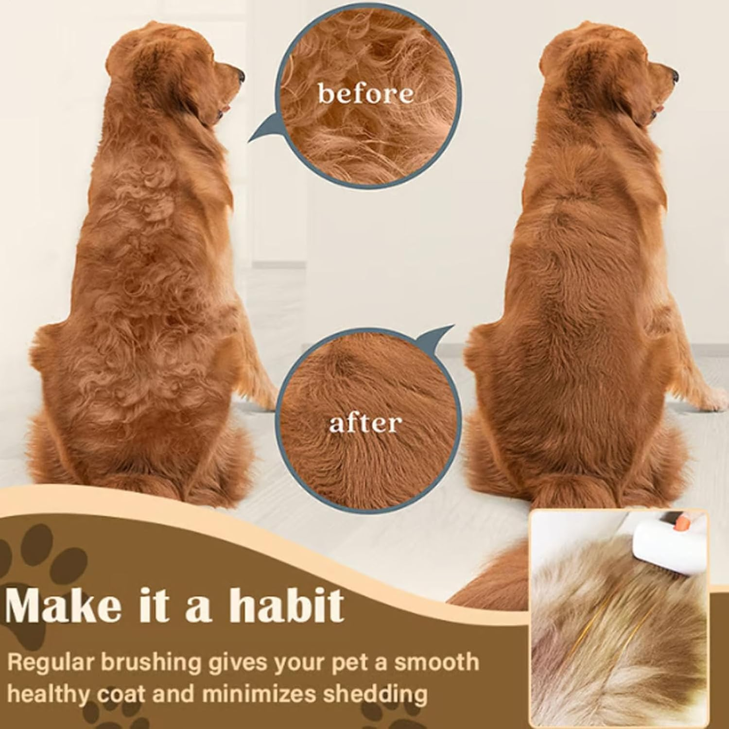 Golden Retriever vor und nach dem Bürsten. Fellpflege ist wichtig.