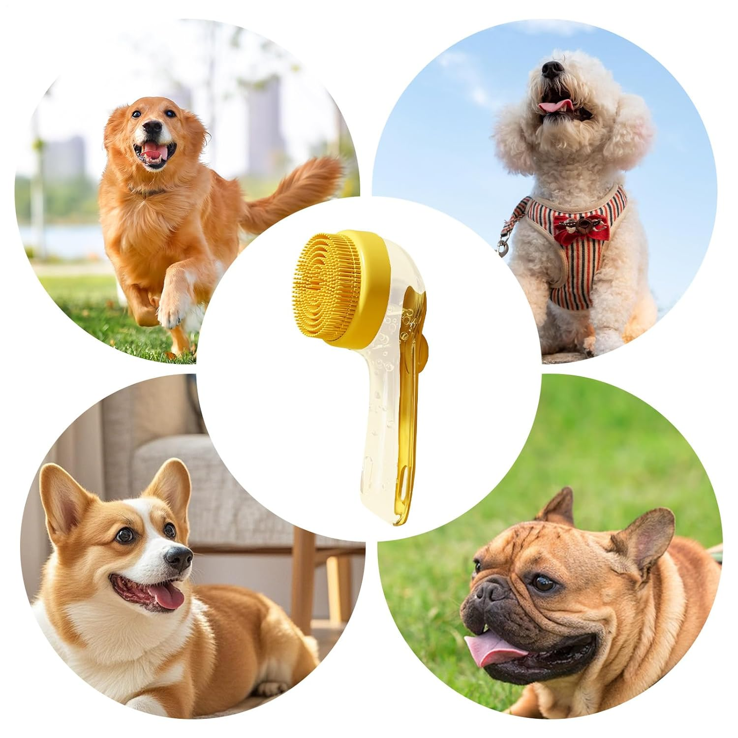 Ein gelbes Haustierpflegegerät umgeben von vier Hunden: Golden Retriever, Pudel, Corgi und Bulldogge.