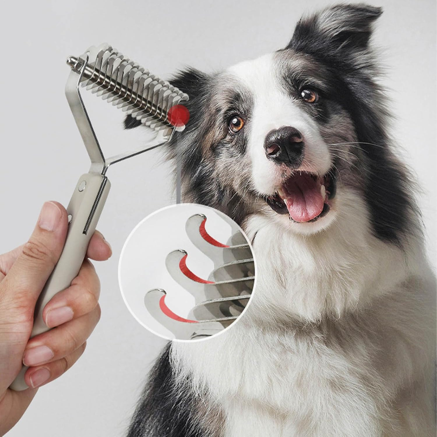 Ein Border Collie sitzt vor einem weißen Hintergrund, eine Hand hält einen Hundekamm.