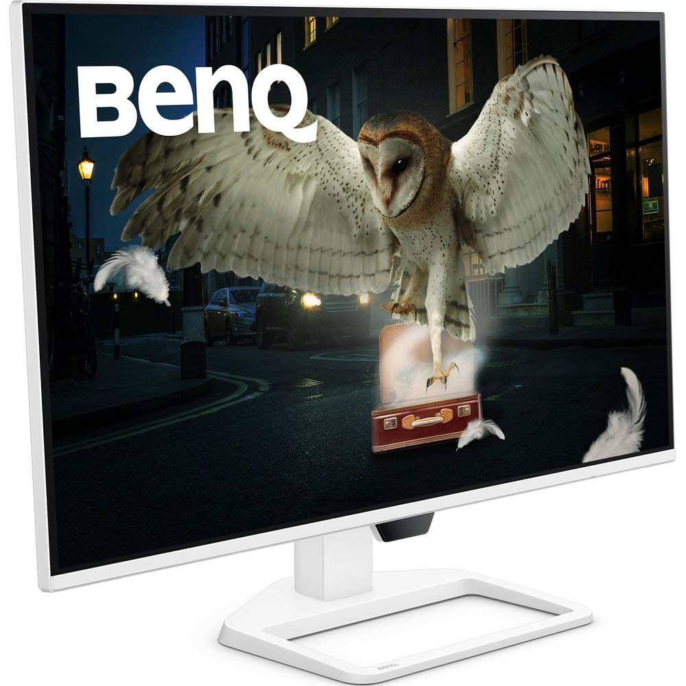 A barn owl lands on a suitcase on a night street. BenQ logo.