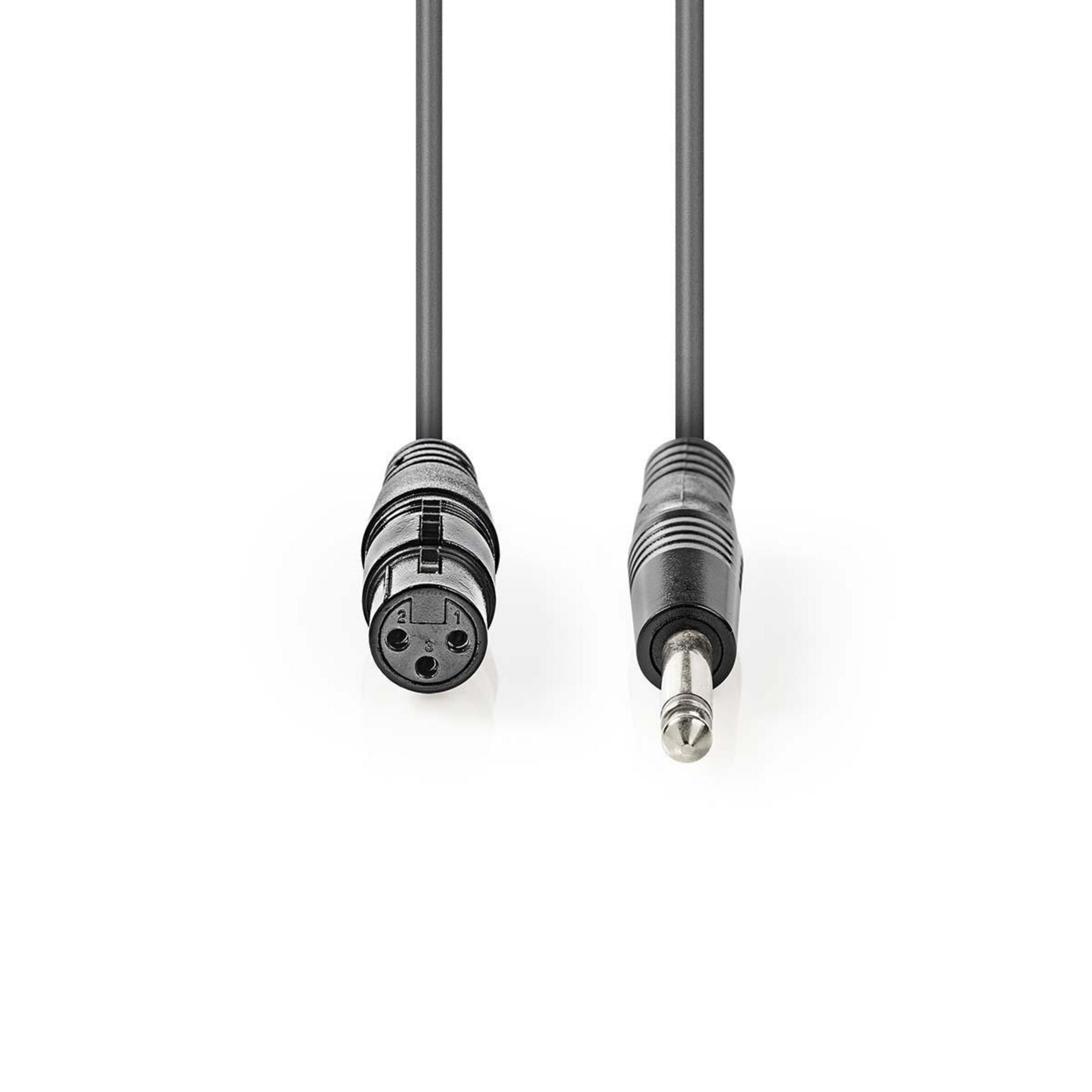 Een zwarte kabel met XLR-connector en 6,3 mm jackplug.