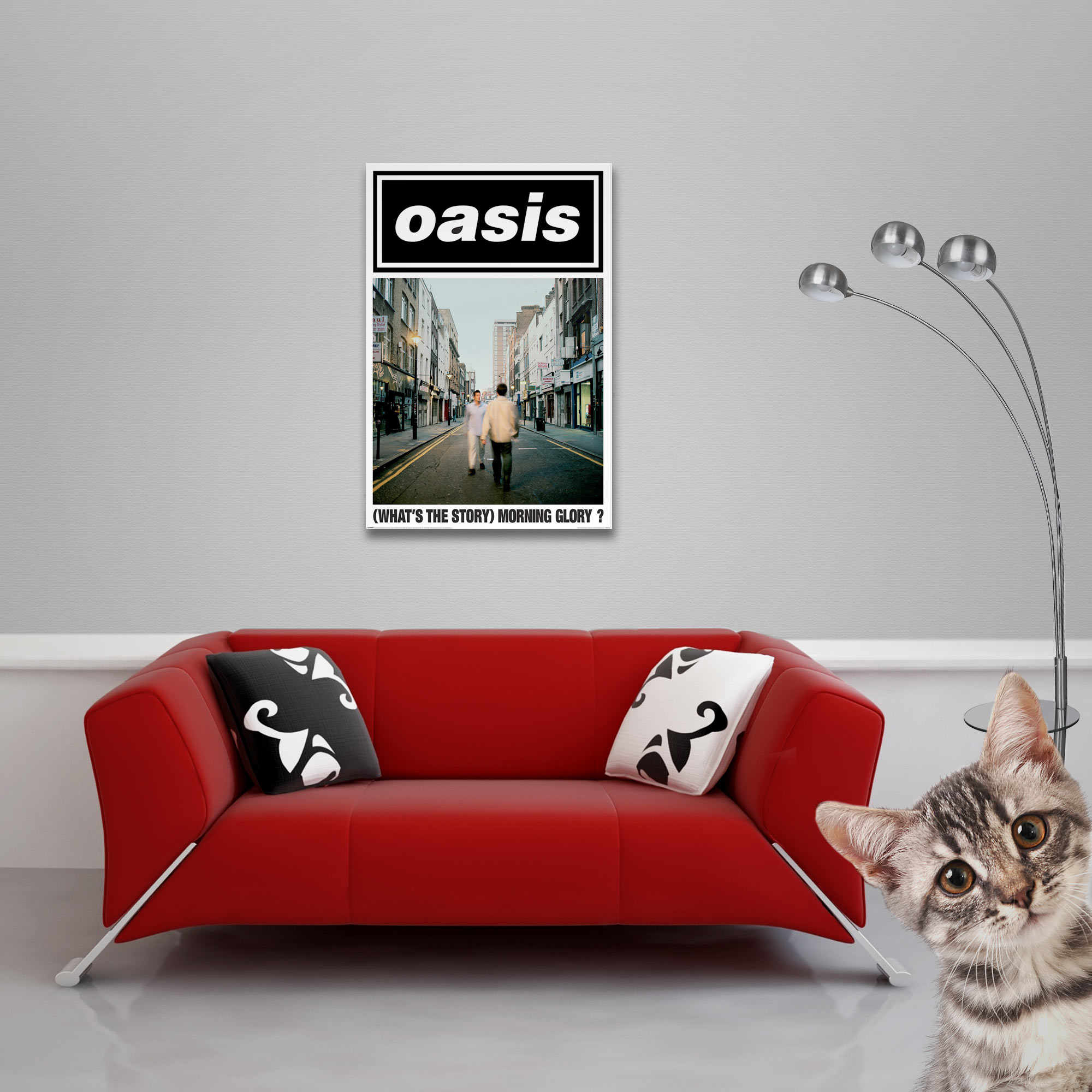 Ein Kätzchen blickt neugierig auf eine rote Couch mit Kissen und ein Oasis-Poster.
