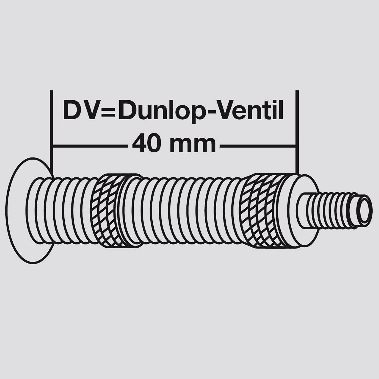 Dunlop-Ventil 40 mm, schematische Darstellung.