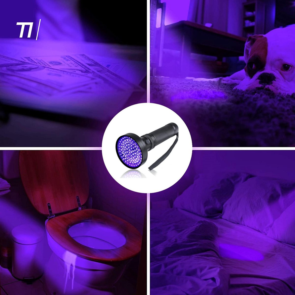 UV flashlight illuminates money, dog, toilet, and bed with purple light.