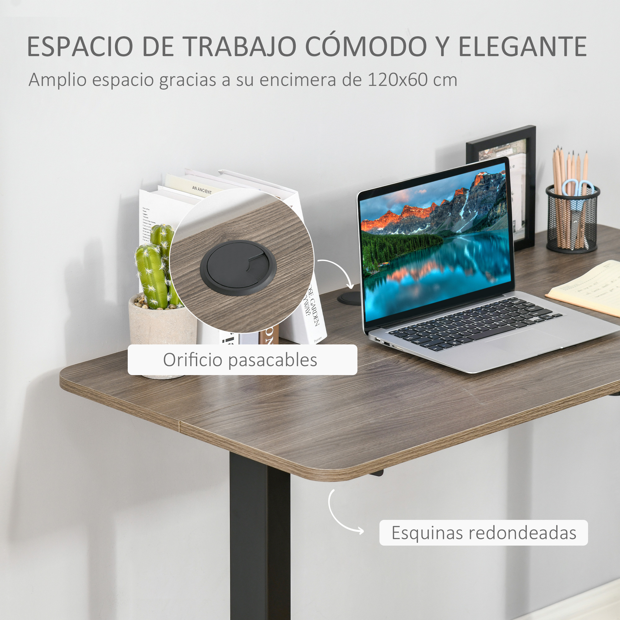 Un escritorio con portátil, planta, libros y bolígrafos. Muestra pasacables y esquinas redondeadas.