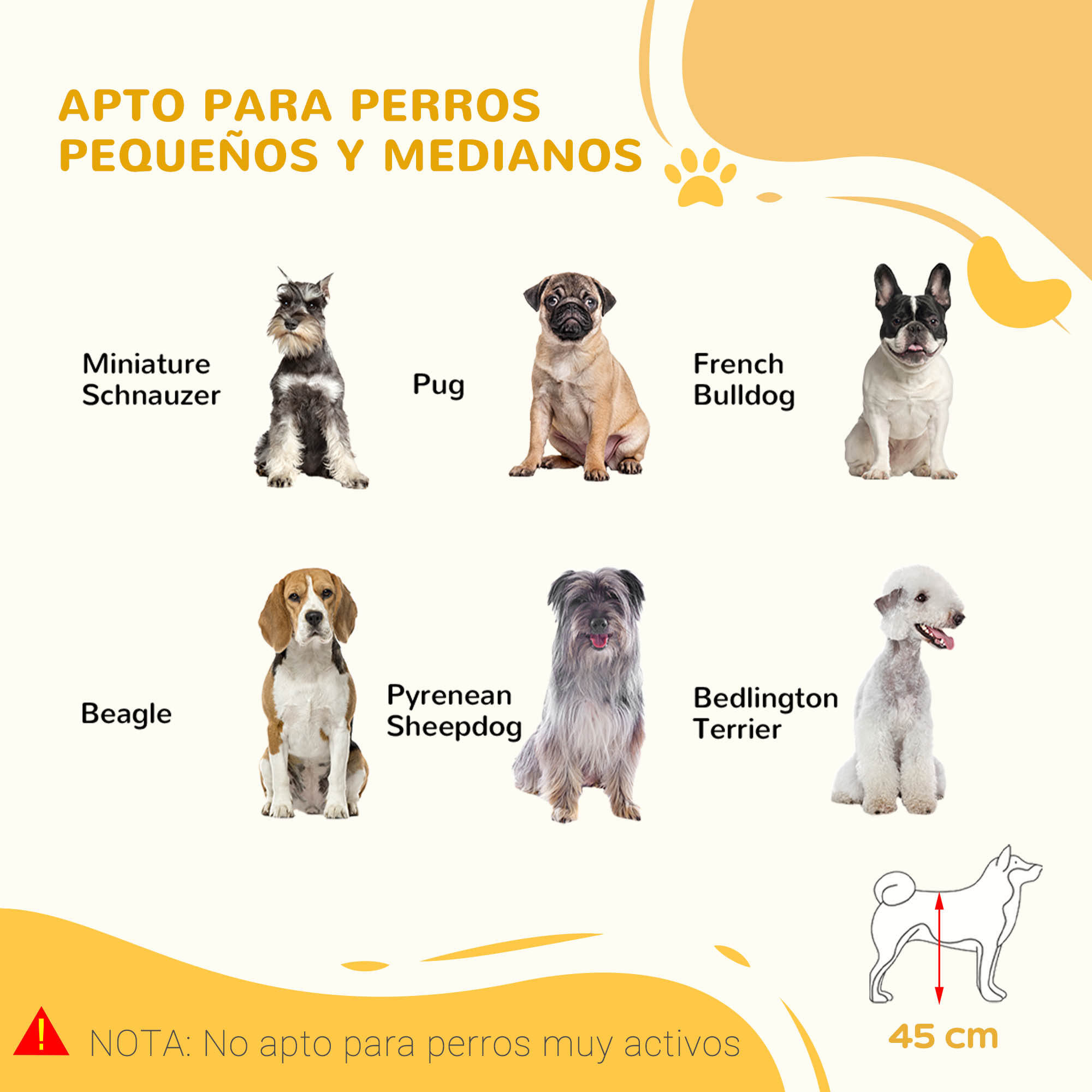 Seis perros de varias razas sobre fondo claro. Abajo una medida de 45 cm.
