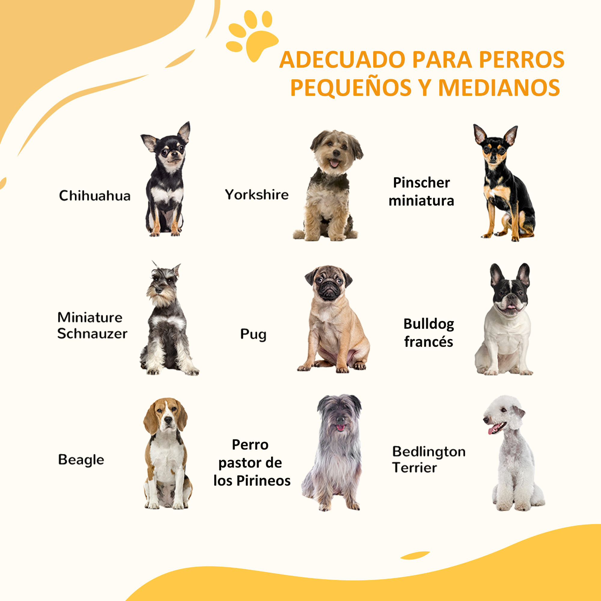 Nueve perros de varias razas sobre fondo claro con texto.