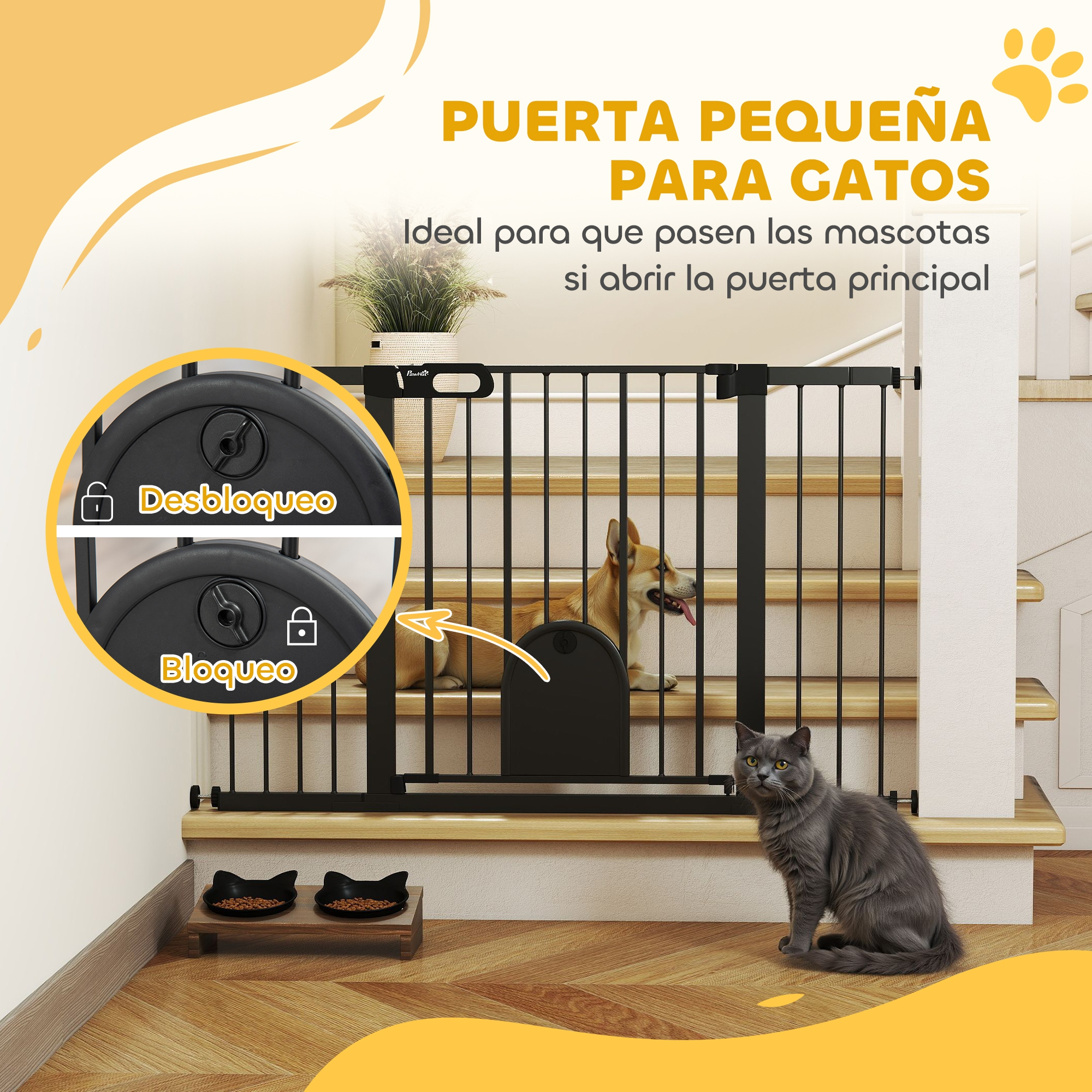Un perro en escaleras tras puerta. Gato delante. Comederos.