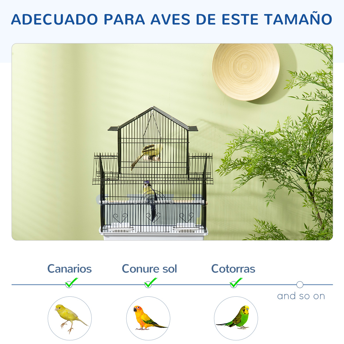 Dos pájaros en una jaula frente a pared verde claro con plato de bambú.