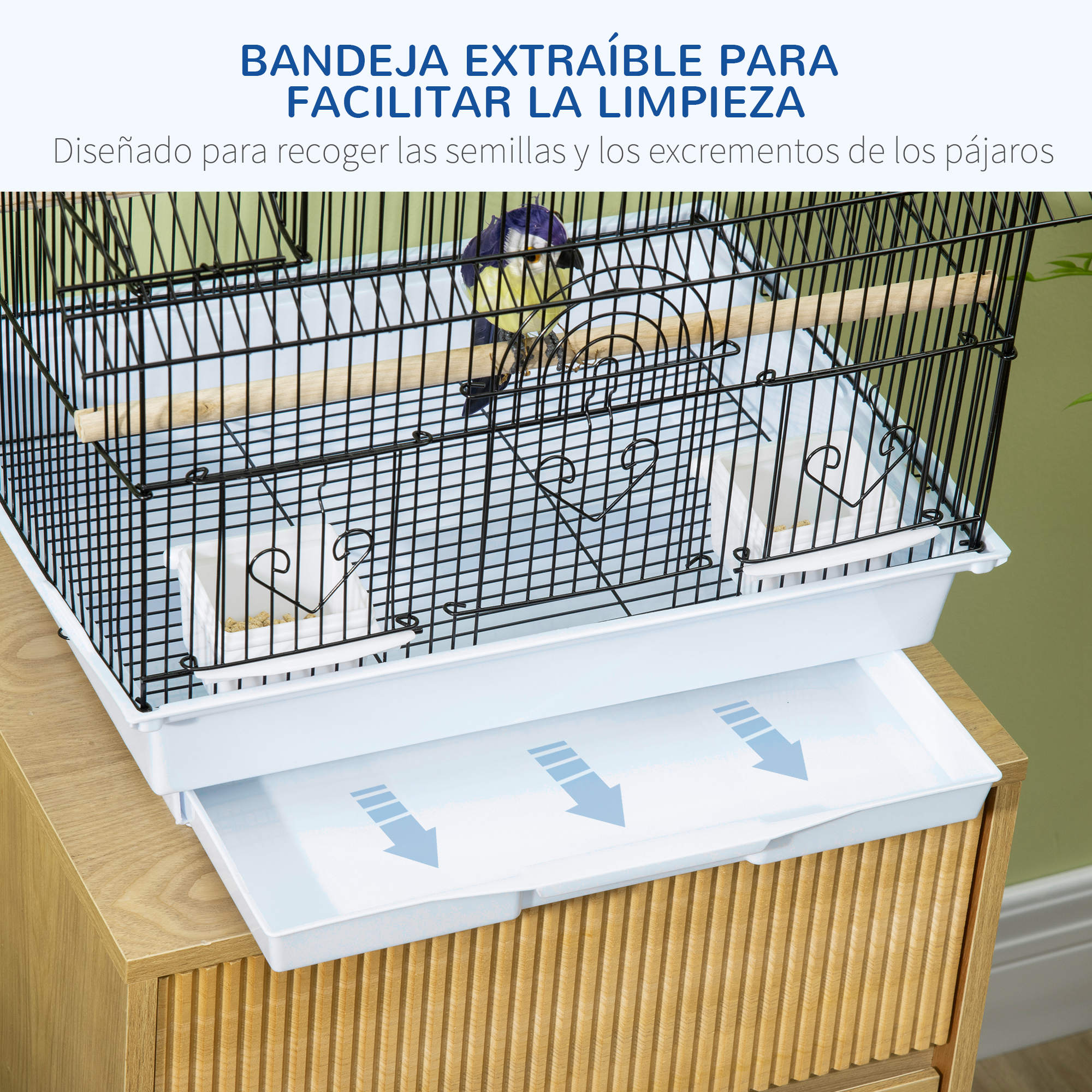 Un pájaro se sienta en una jaula con una bandeja extraíble debajo.