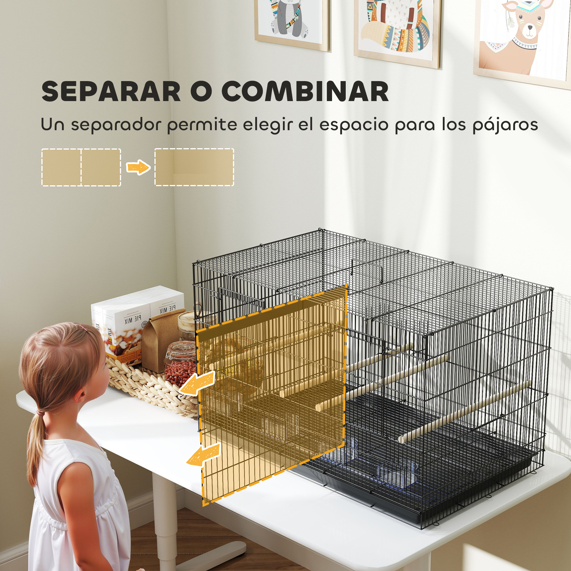 Una niña mira una jaula con un separador. Hay cuadros en la pared.