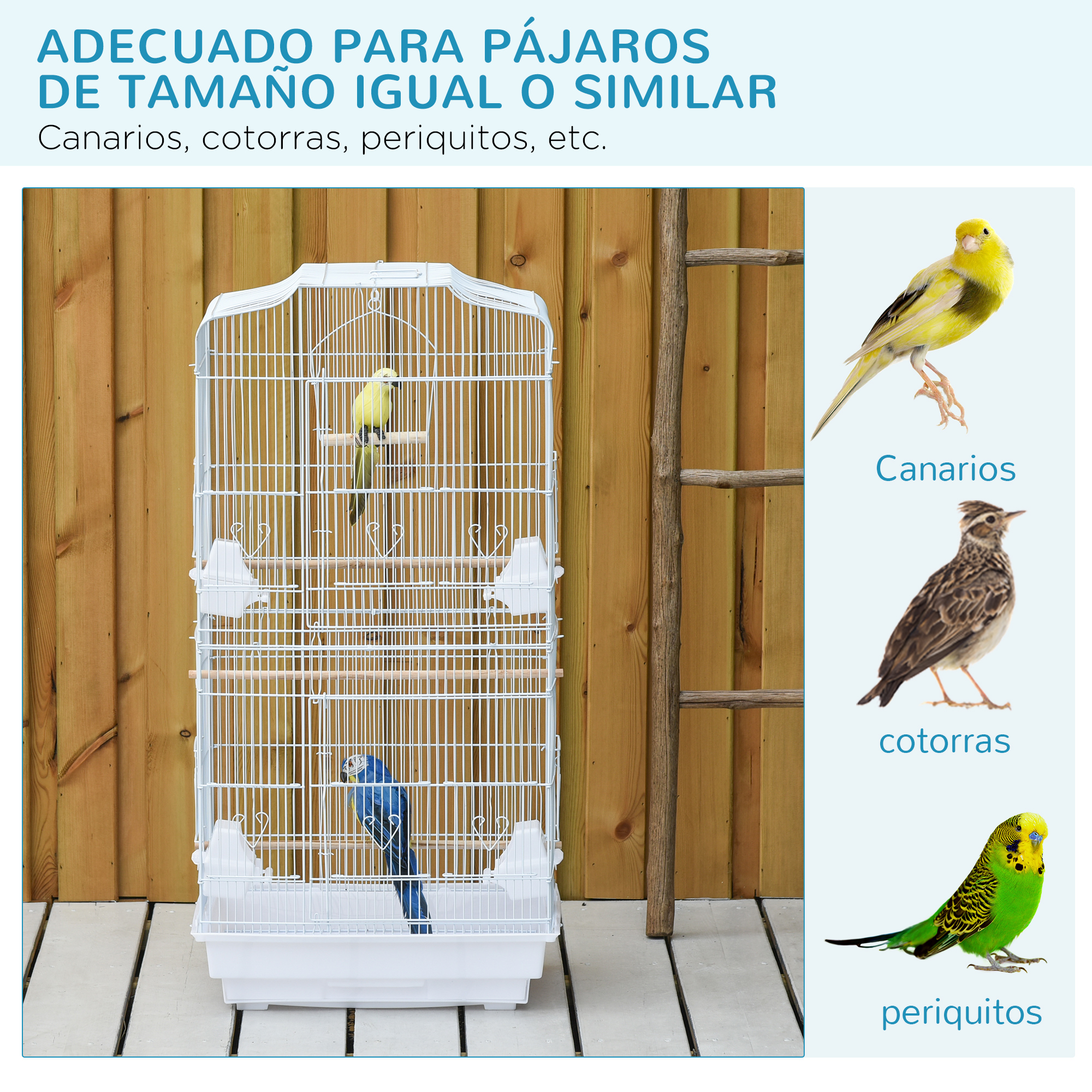 Una jaula blanca con dos pájaros dentro, junto a tres imágenes.