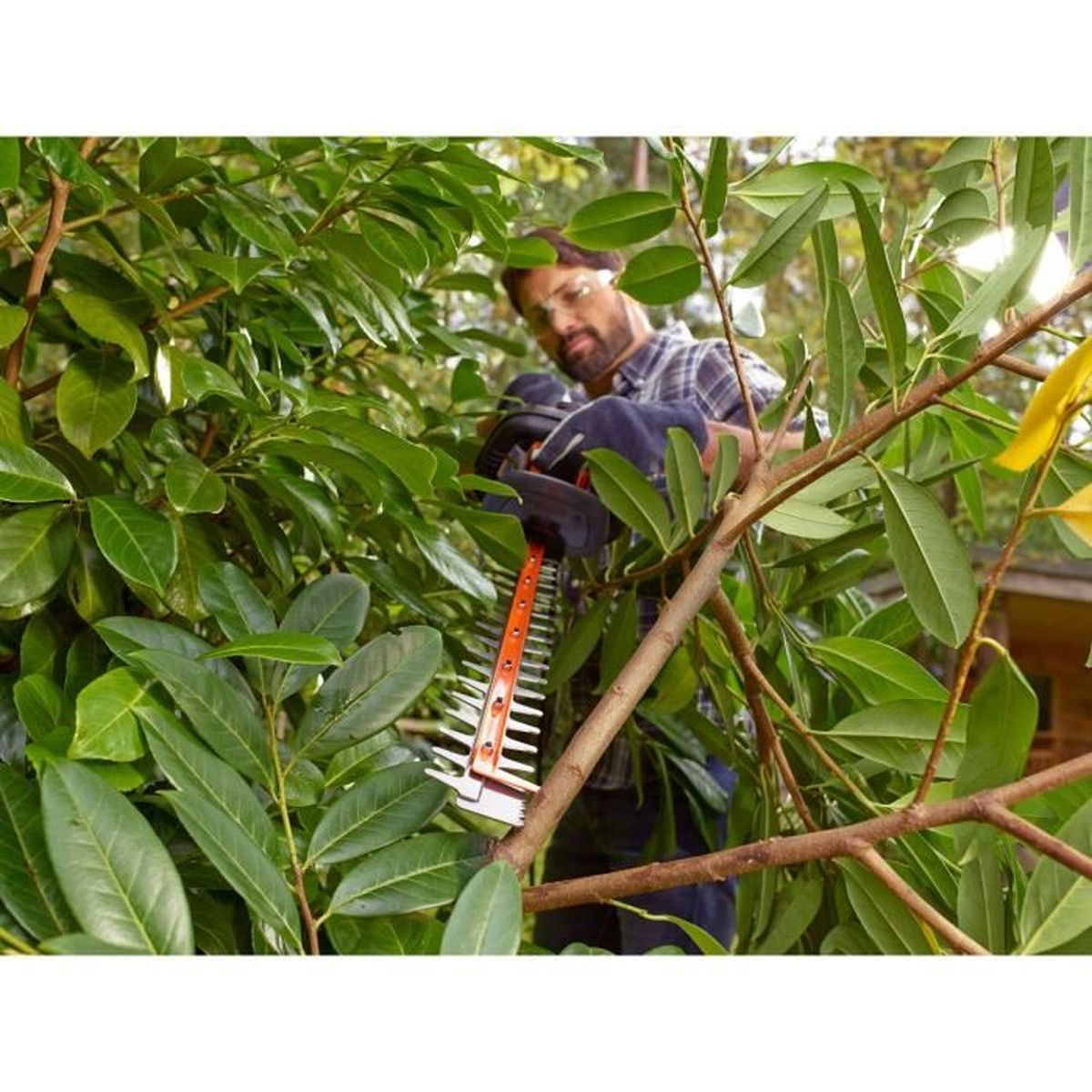 Mężczyzna przycinający żywopłot na zewnątrz.