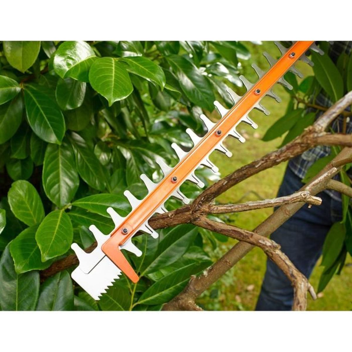 Pomarańczowa przycinarka do żywopłotu tnie gałęzie przed zielonym listowiem.