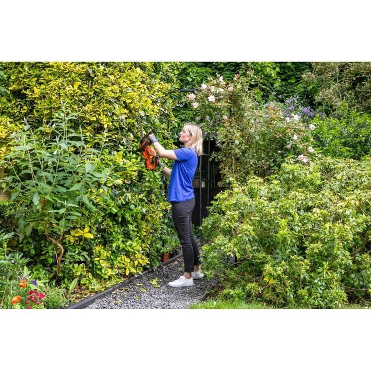 Kobieta przycina krzewy nożycami do żywopłotu w ogrodzie.