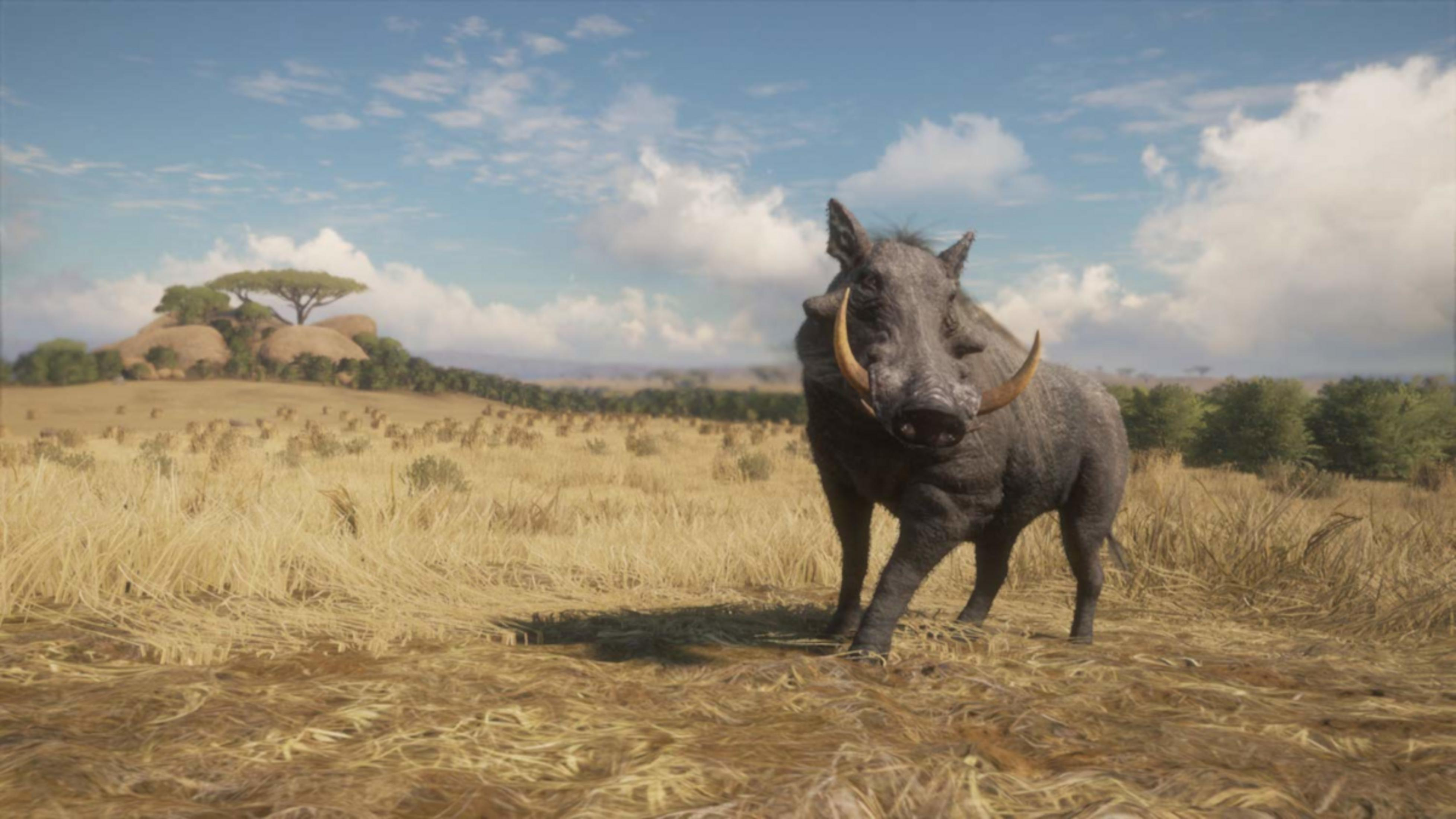 Ein Warzenschwein steht im trockenen Gras vor einer Felsformation mit einem Baum.