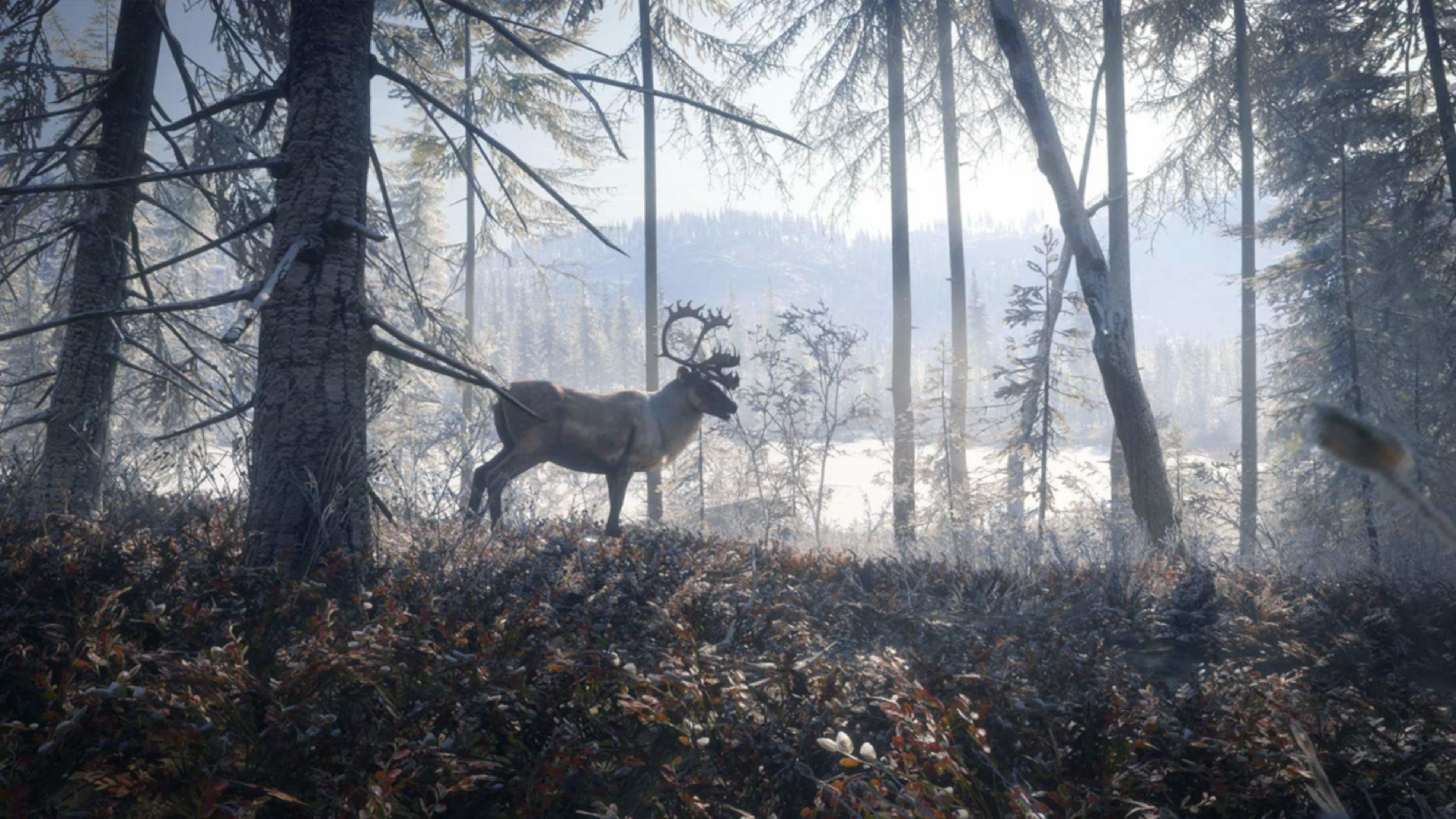 Ein Rentier steht in einem verschneiten Wald mit kahlen Bäumen.