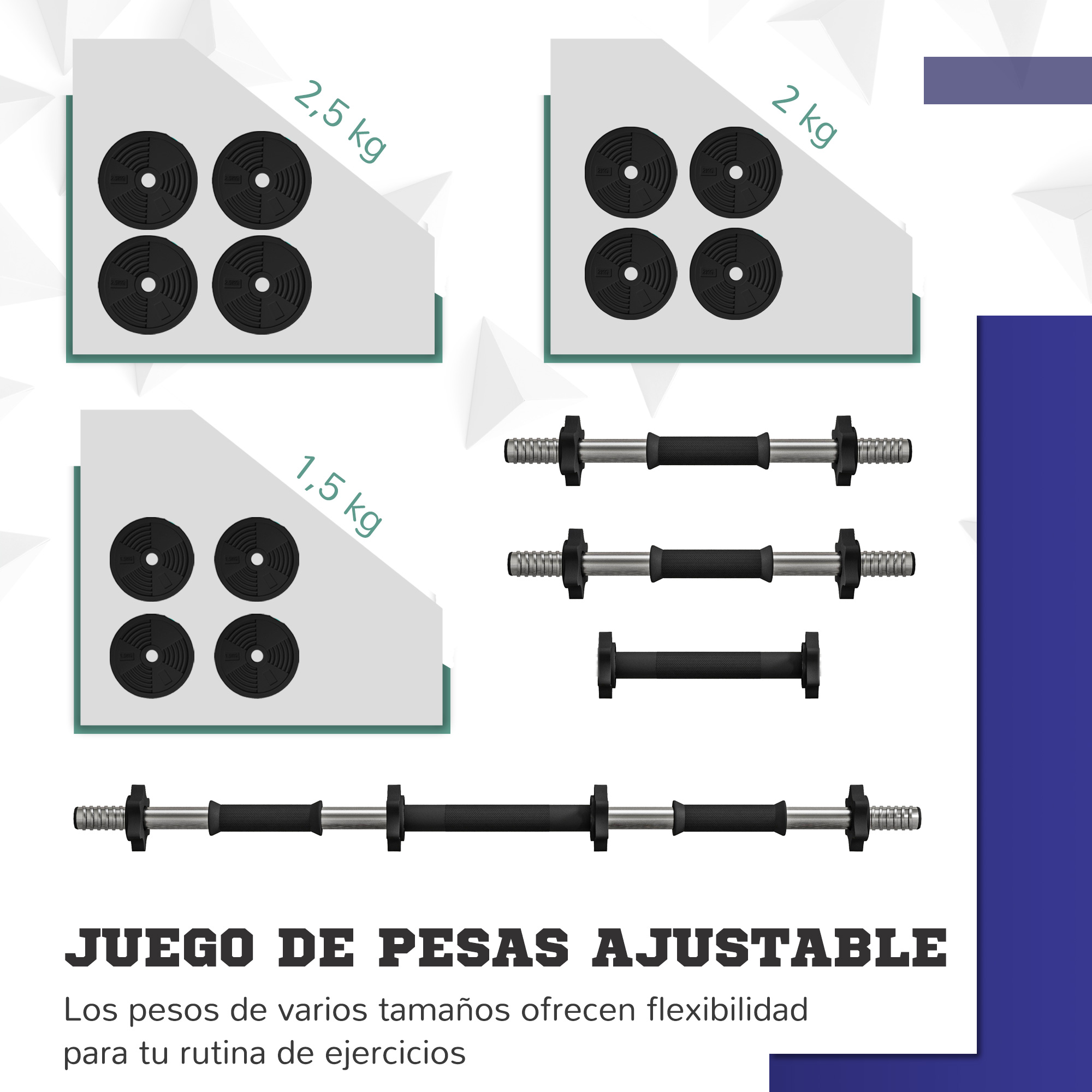 Cuatro discos de 2,5 kg y tres barras de pesas sobre un fondo blanco.
