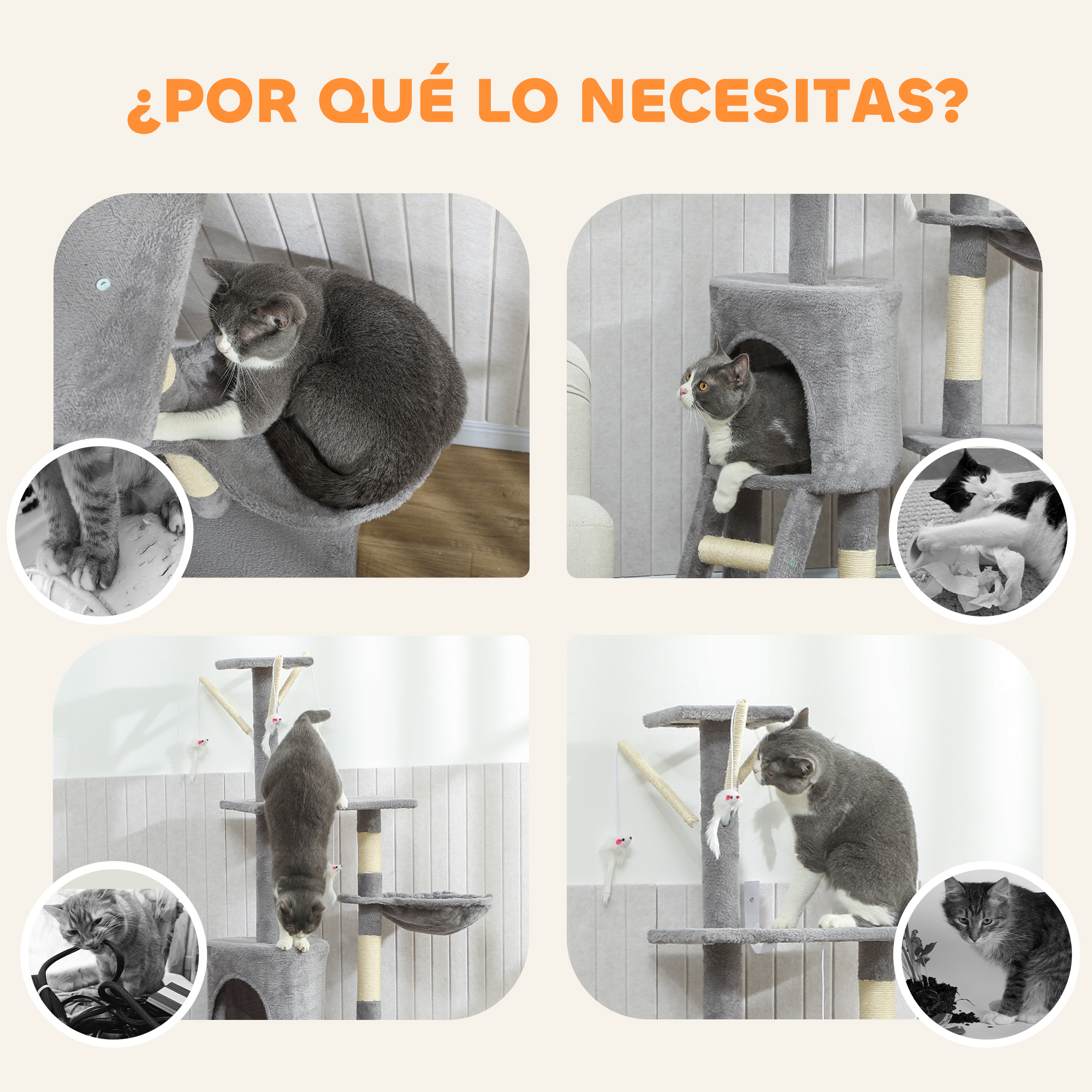Gatos grises en árboles para gatos, uno juega con papel, otro trepa.