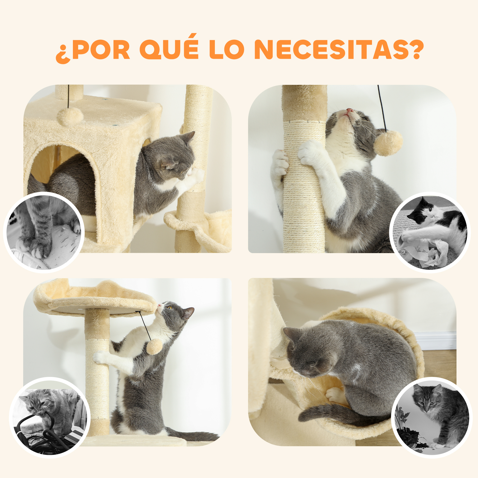 Gatos grises y blancos juegan en rascadores y con juguetes.