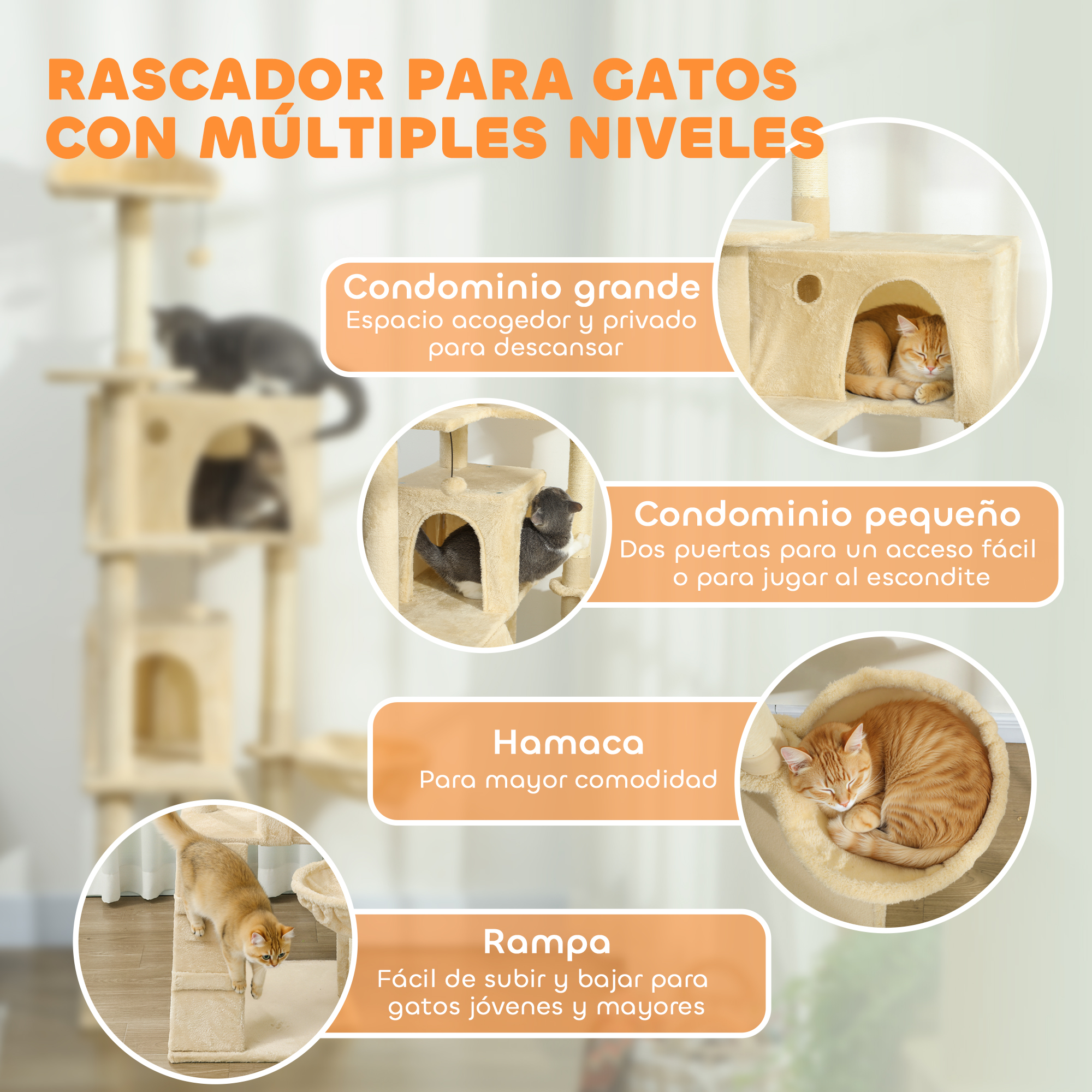 Árbol rascador para gatos de varios niveles: descansando y jugando.
